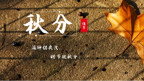 樓上樓門窗 | 白露秋分夜,一夜冷一夜，高端門窗安排上！